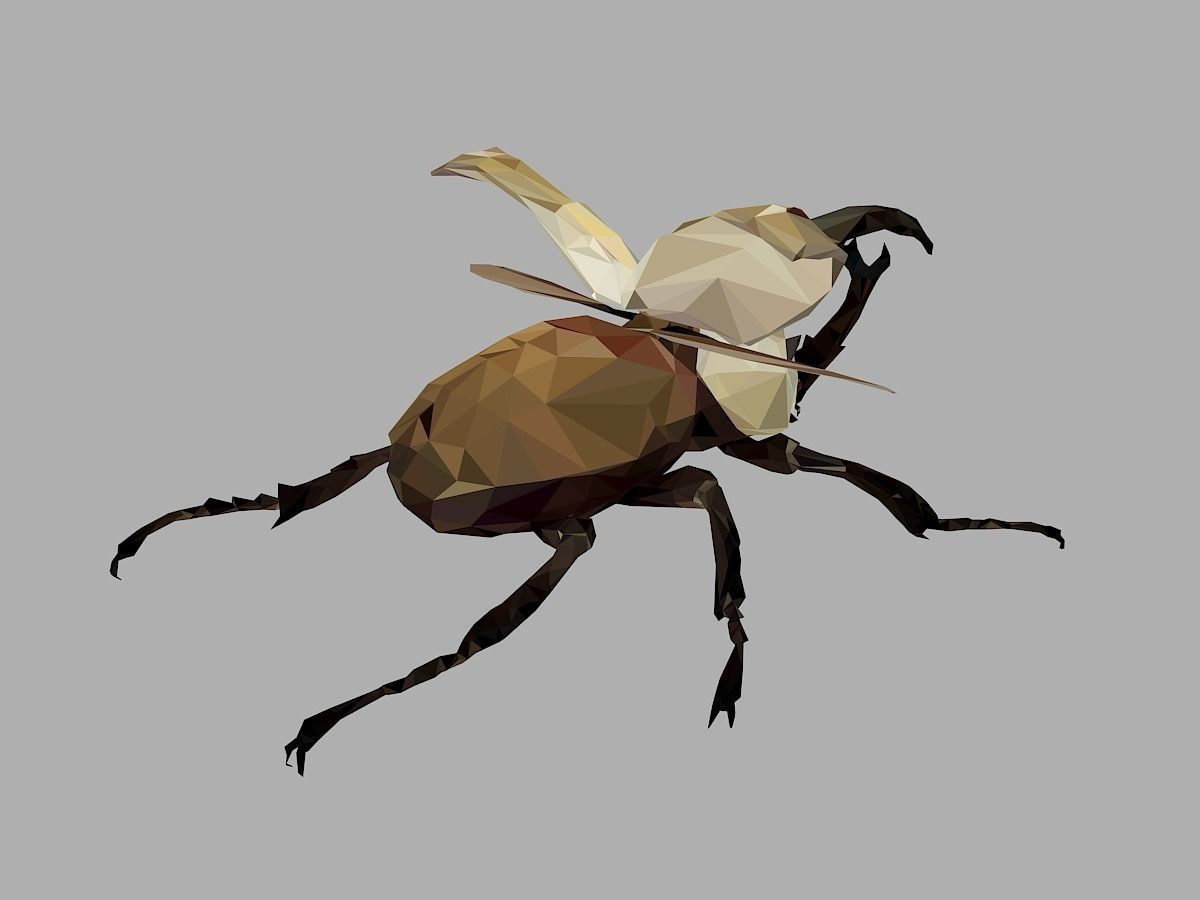 Rhinoceros Bark Beetle Low Polygon Art Insect Low-poly 3D model_24