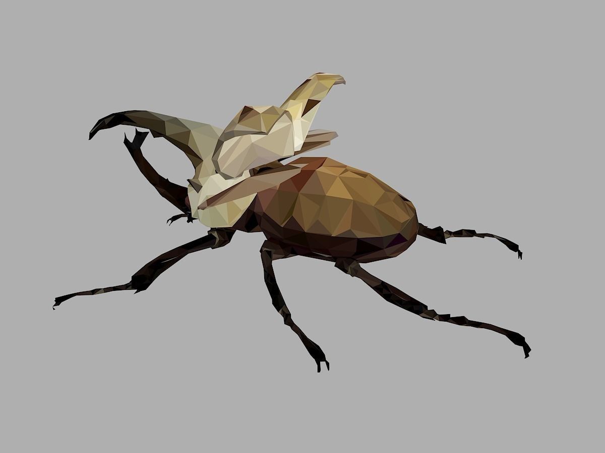 Rhinoceros Bark Beetle Low Polygon Art Insect Low-poly 3D model_12