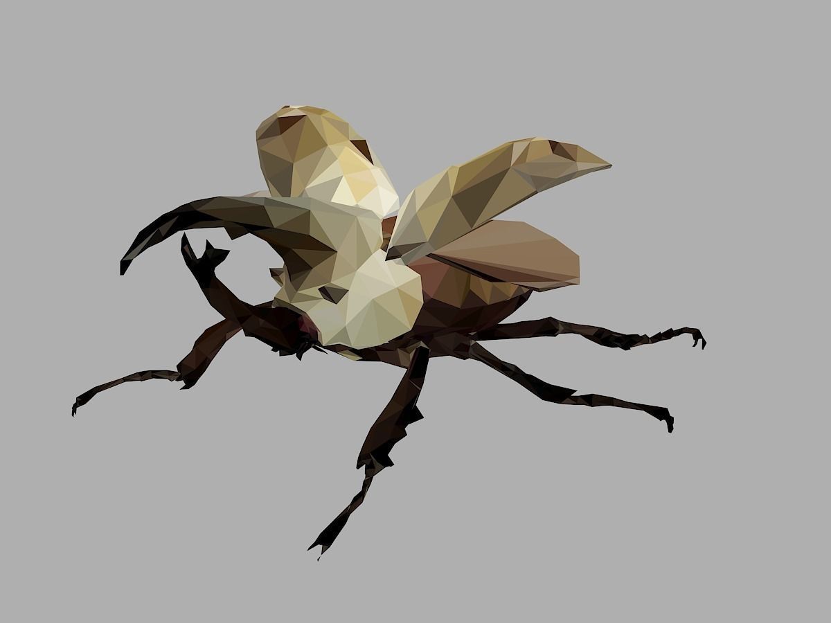 Rhinoceros Bark Beetle Low Polygon Art Insect Low-poly 3D model_8