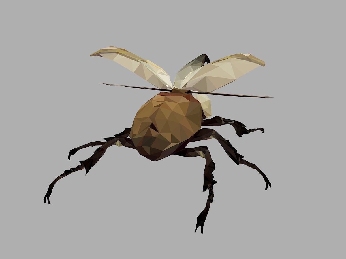 Rhinoceros Bark Beetle Low Polygon Art Insect Low-poly 3D model_20