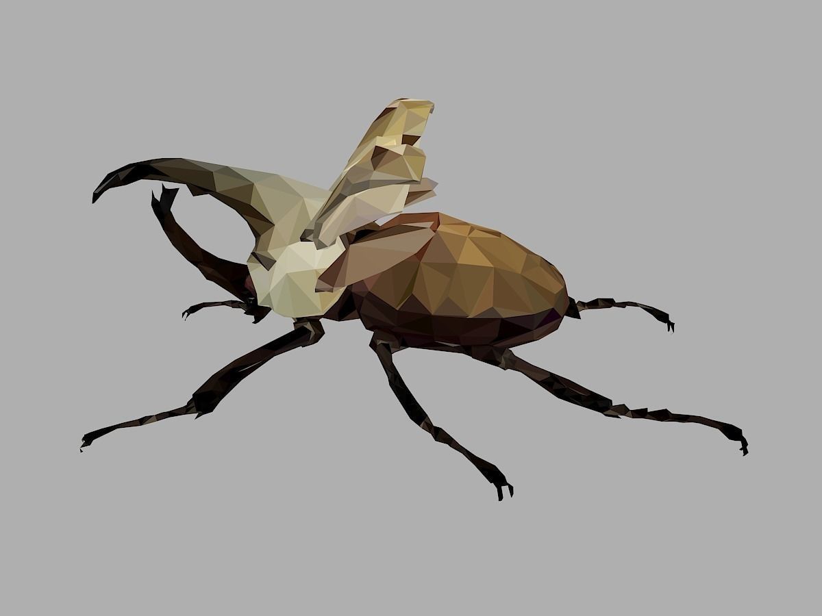 Rhinoceros Bark Beetle Low Polygon Art Insect Low-poly 3D model_9