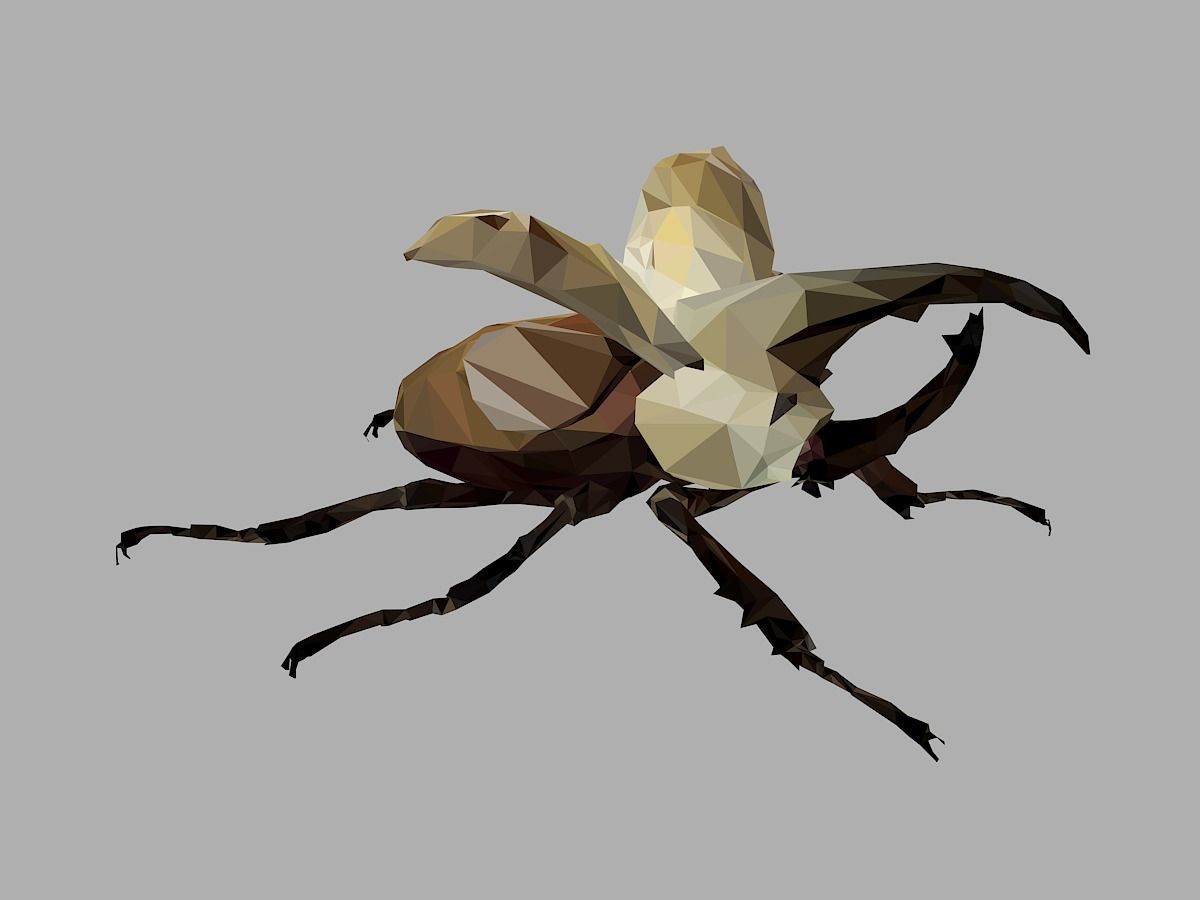 Rhinoceros Bark Beetle Low Polygon Art Insect Low-poly 3D model_27