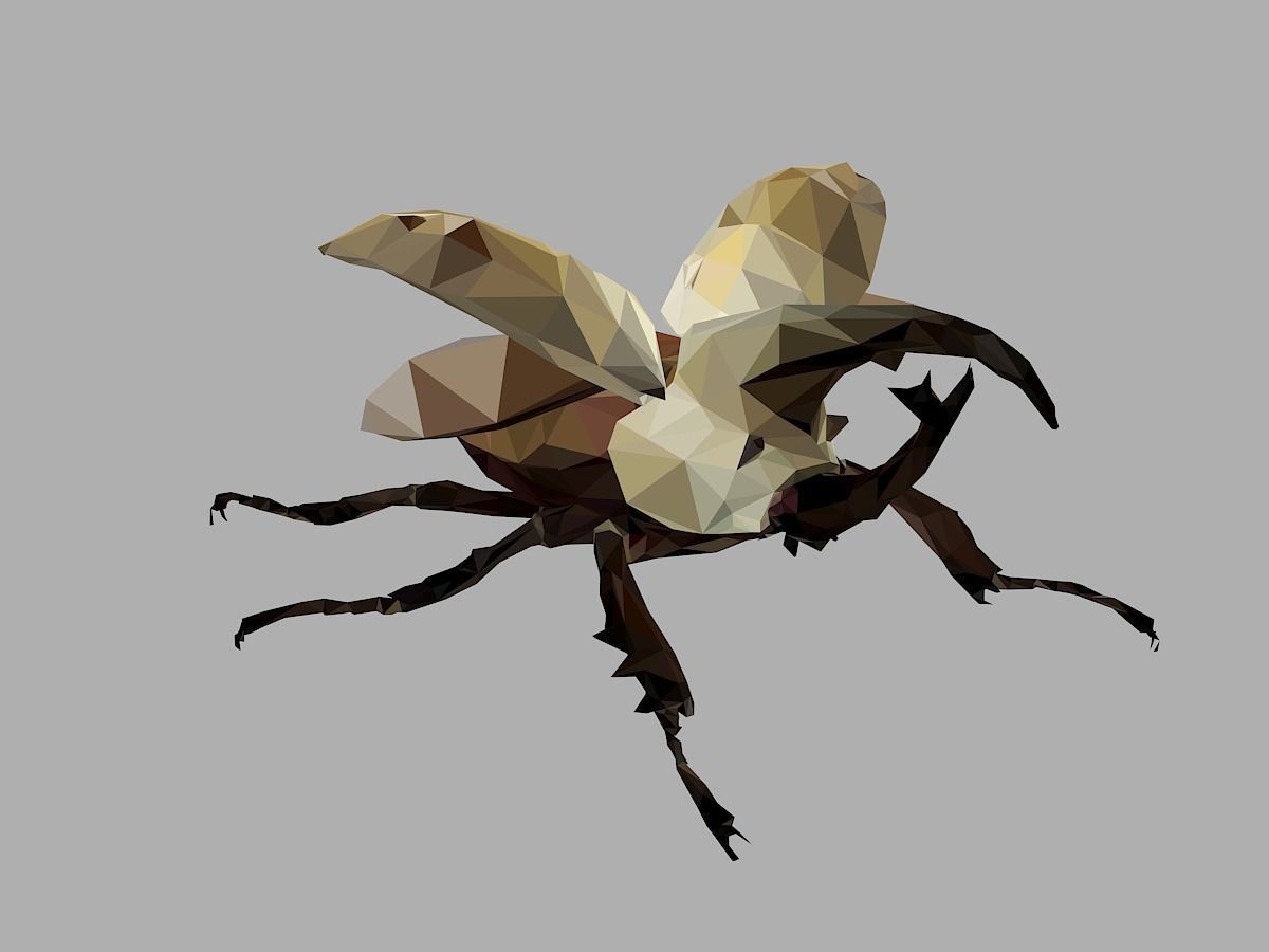 Rhinoceros Bark Beetle Low Polygon Art Insect Low-poly 3D model_30