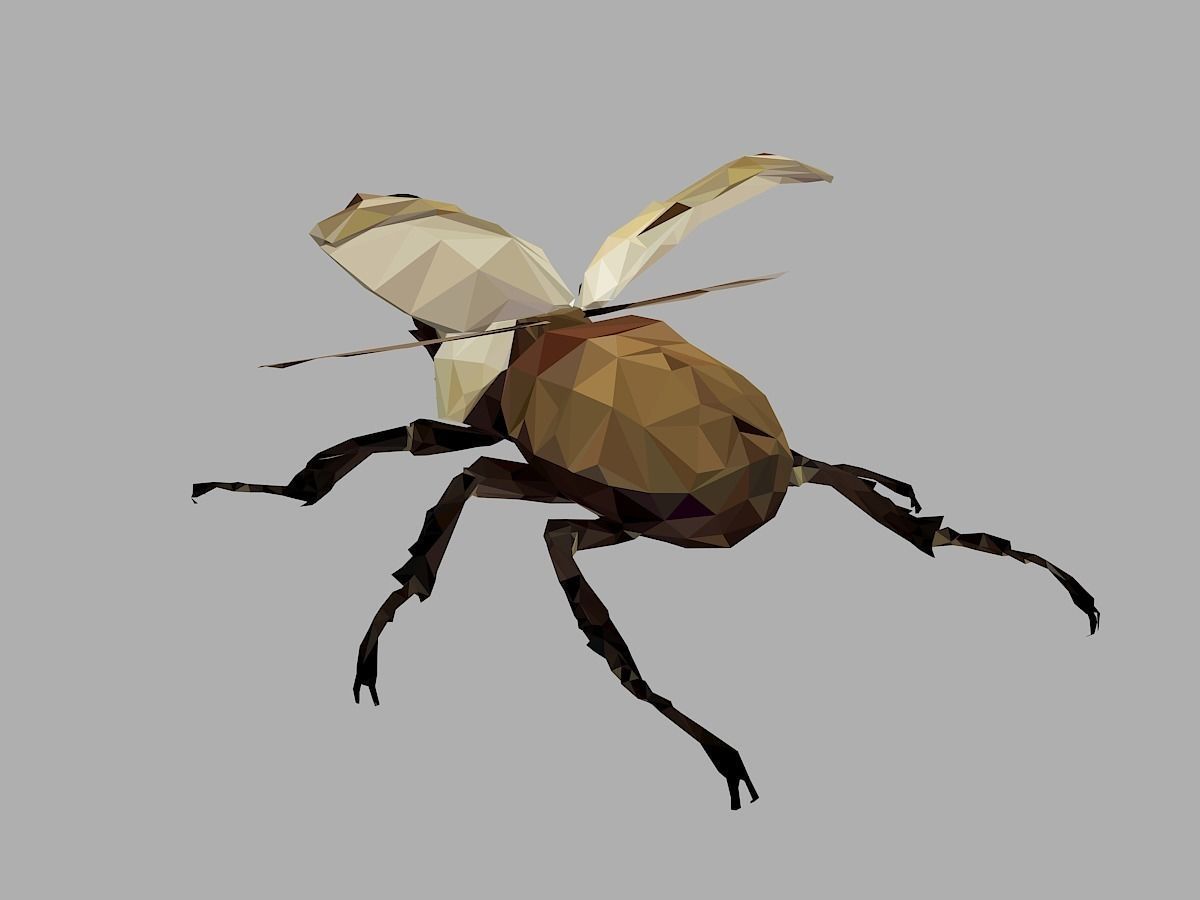 Rhinoceros Bark Beetle Low Polygon Art Insect Low-poly 3D model_16
