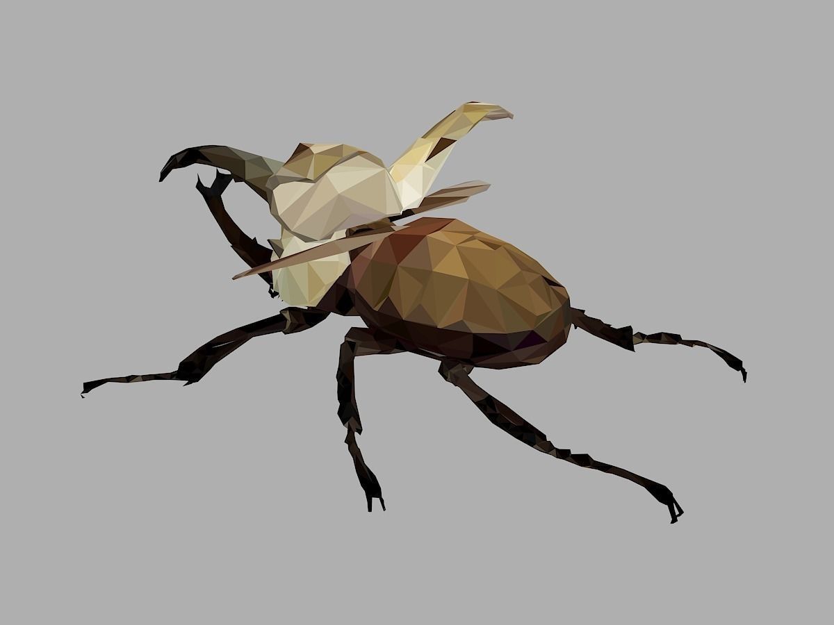 Rhinoceros Bark Beetle Low Polygon Art Insect Low-poly 3D model_13