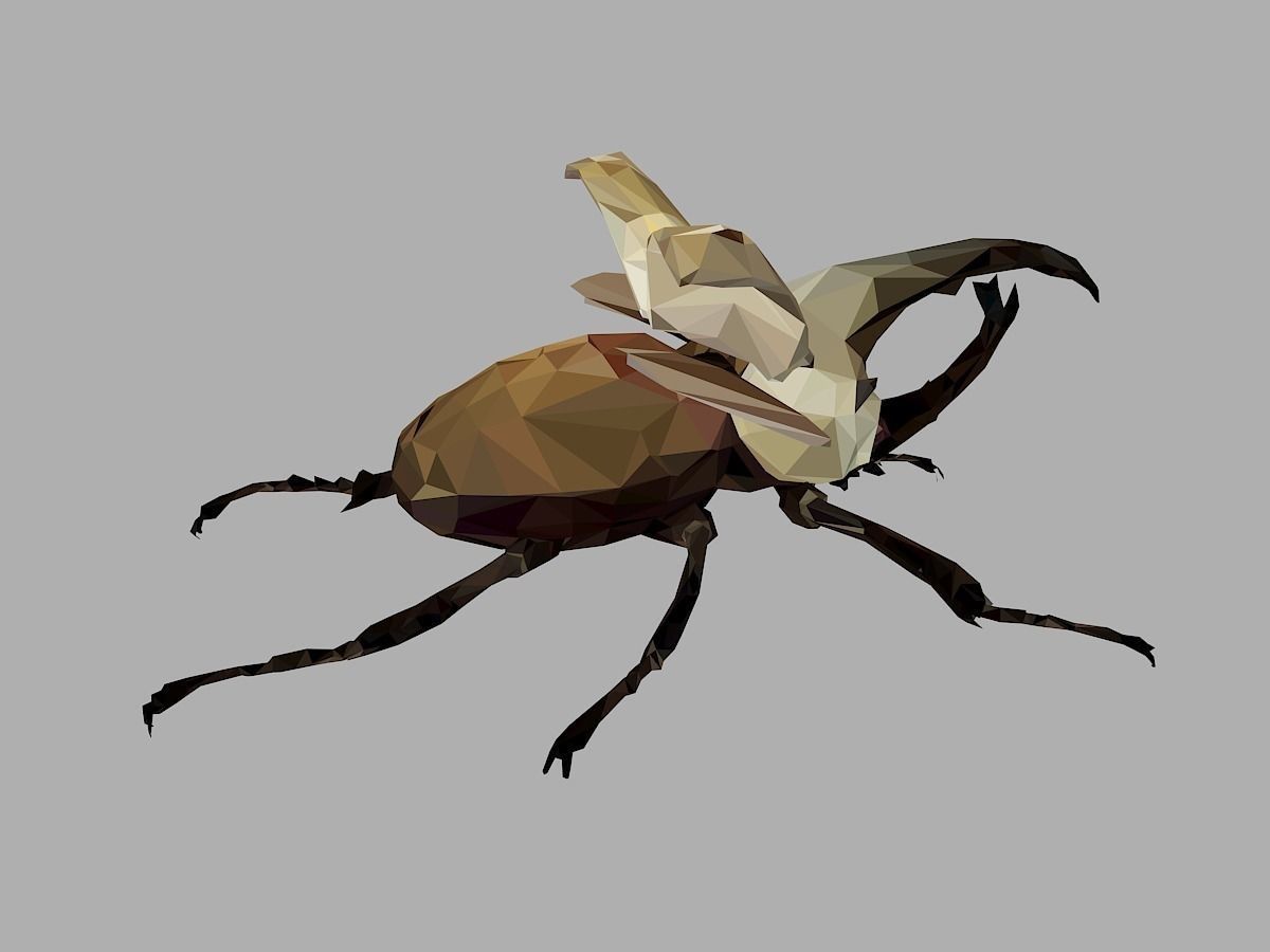 Rhinoceros Bark Beetle Low Polygon Art Insect Low-poly 3D model_26