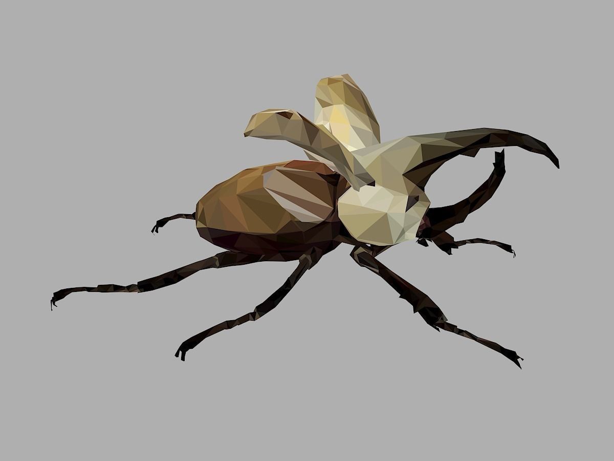 Rhinoceros Bark Beetle Low Polygon Art Insect Low-poly 3D model_28