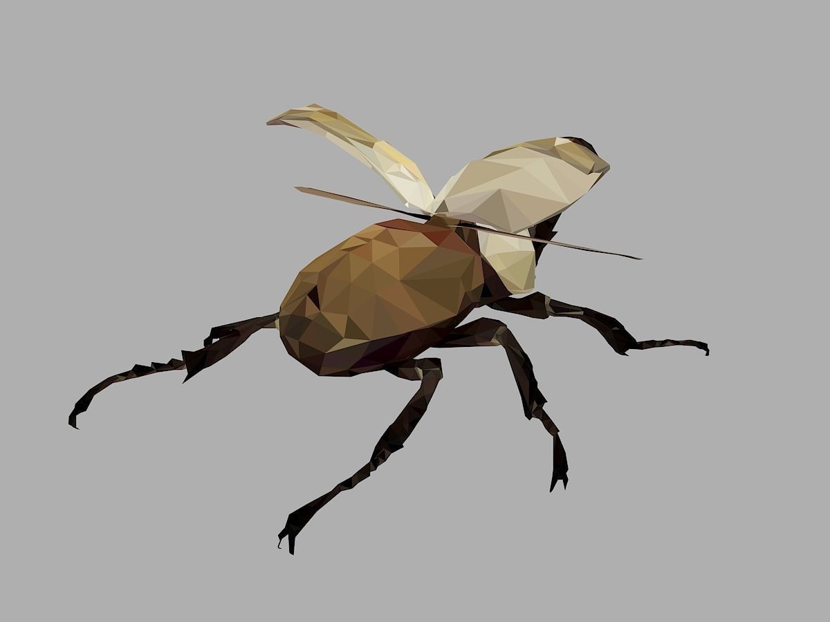 Rhinoceros Bark Beetle Low Polygon Art Insect Low-poly 3D model_22