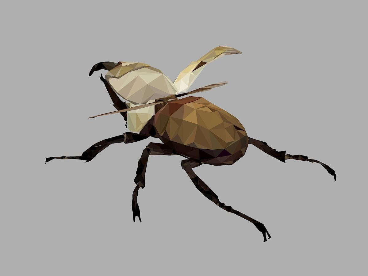 Rhinoceros Bark Beetle Low Polygon Art Insect Low-poly 3D model_14