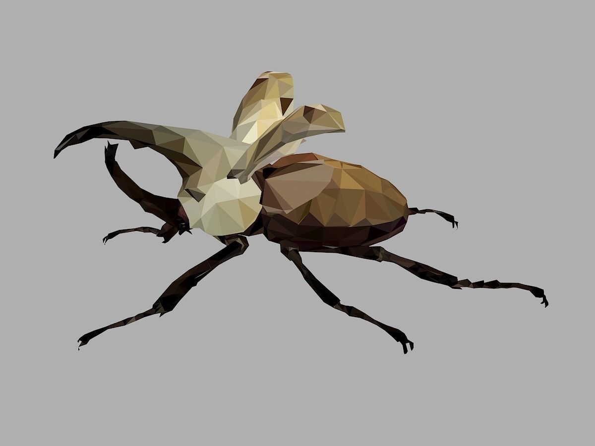 Rhinoceros Bark Beetle Low Polygon Art Insect Low-poly 3D model_10