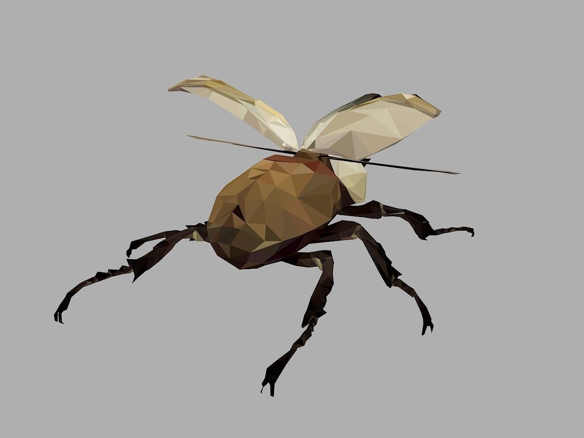 Rhinoceros Bark Beetle Low Polygon Art Insect Low-poly 3D model_21