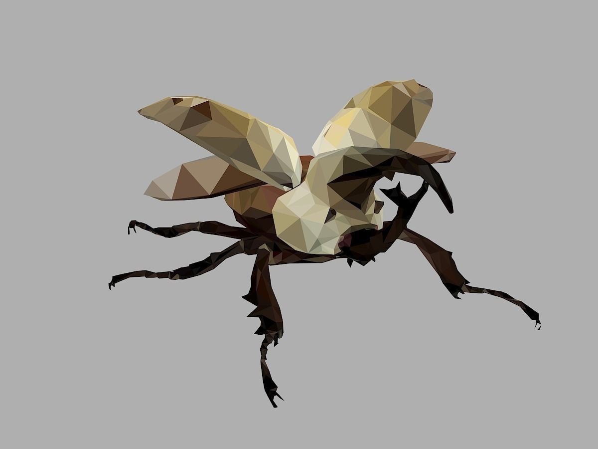 Rhinoceros Bark Beetle Low Polygon Art Insect Low-poly 3D model_2