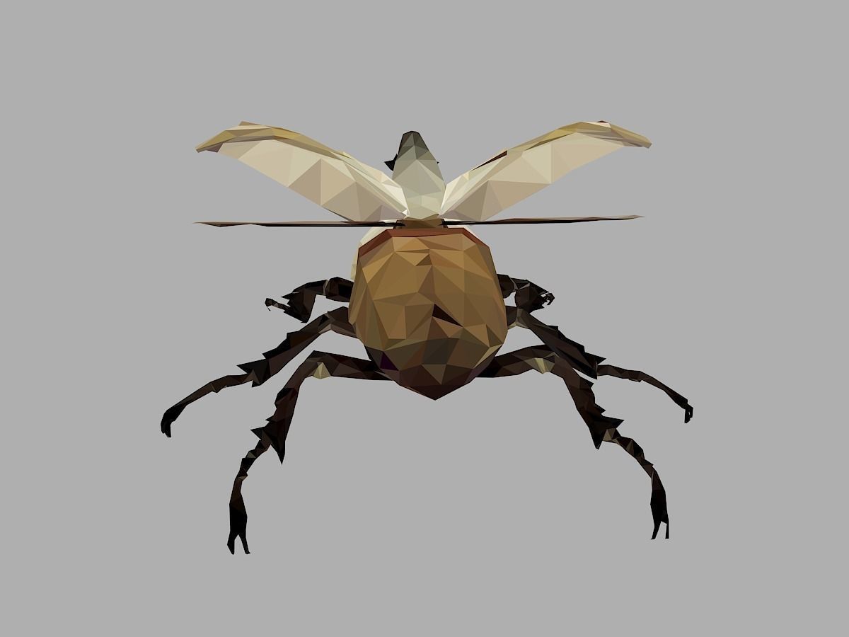 Rhinoceros Bark Beetle Low Polygon Art Insect Low-poly 3D model_15