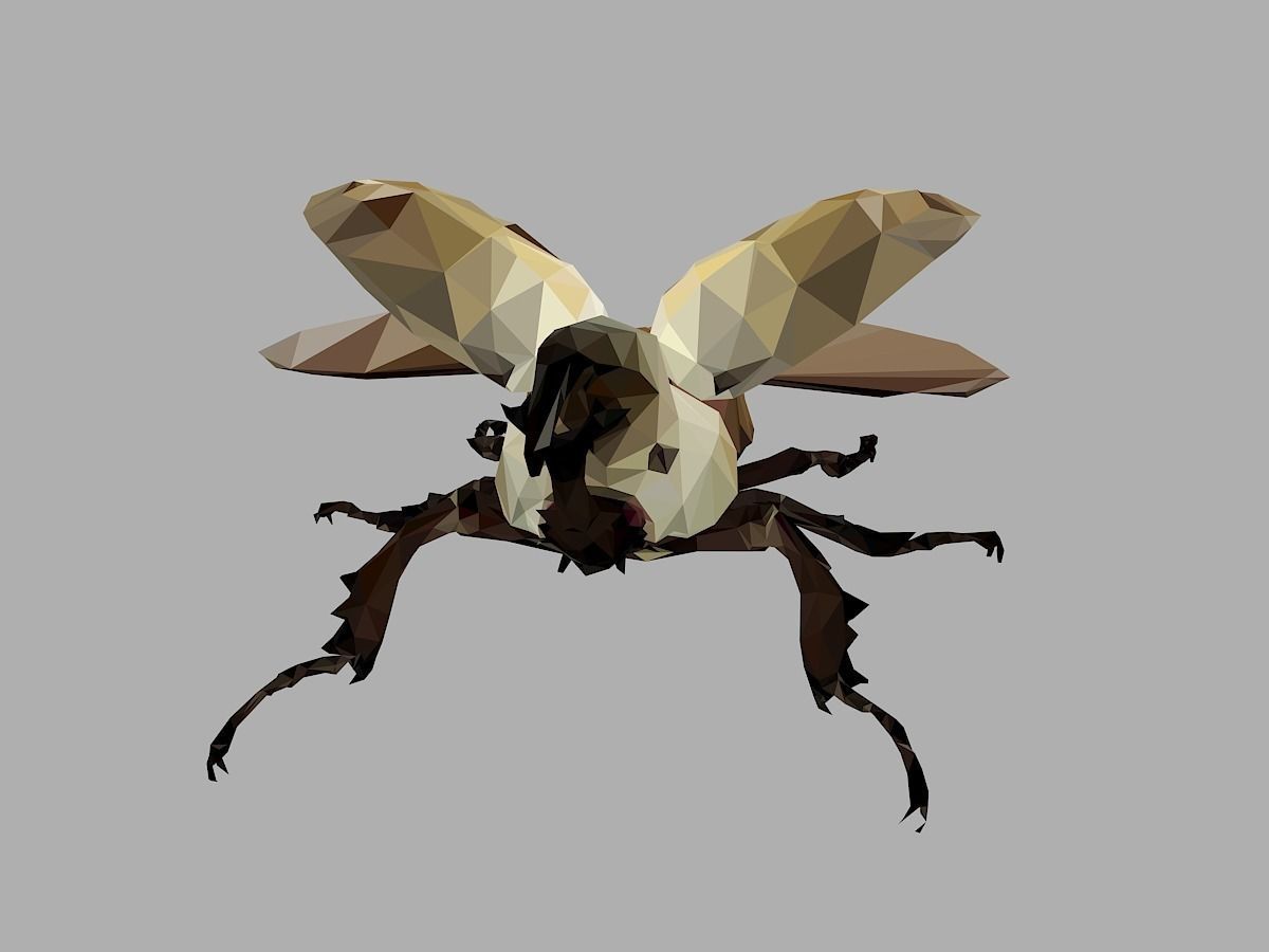 Rhinoceros Bark Beetle Low Polygon Art Insect Low-poly 3D model_3
