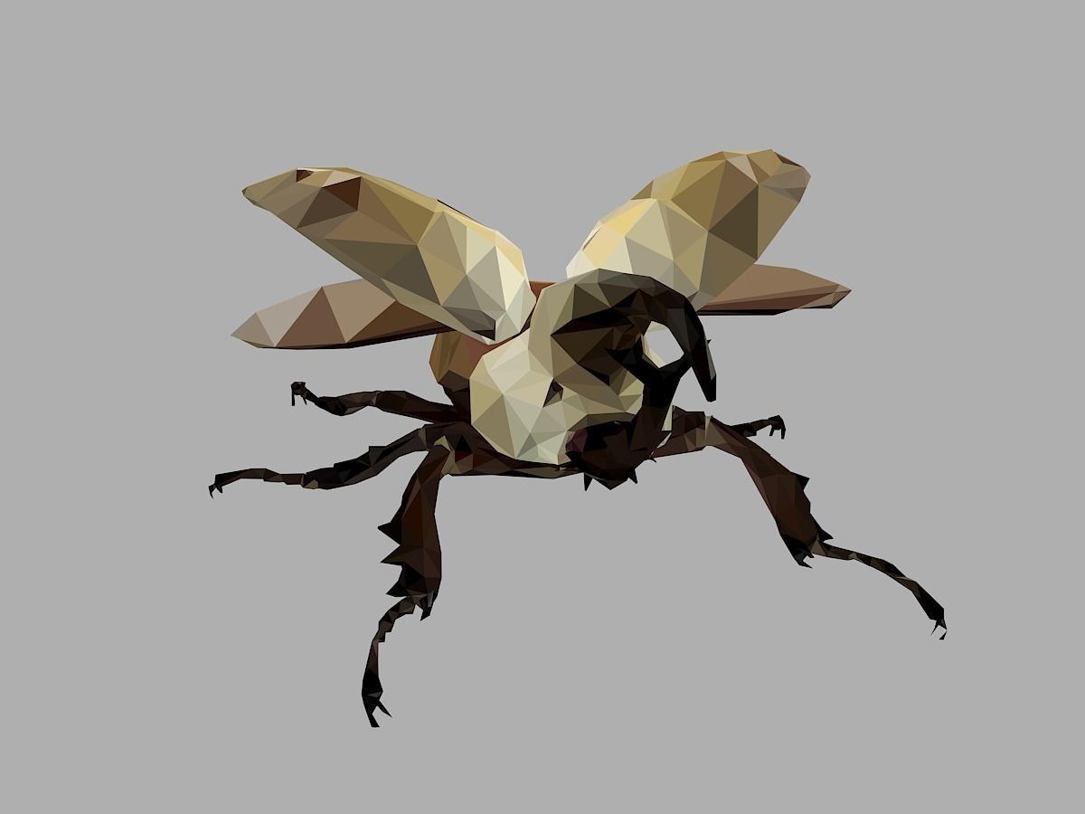 Rhinoceros Bark Beetle Low Polygon Art Insect Low-poly 3D model_1
