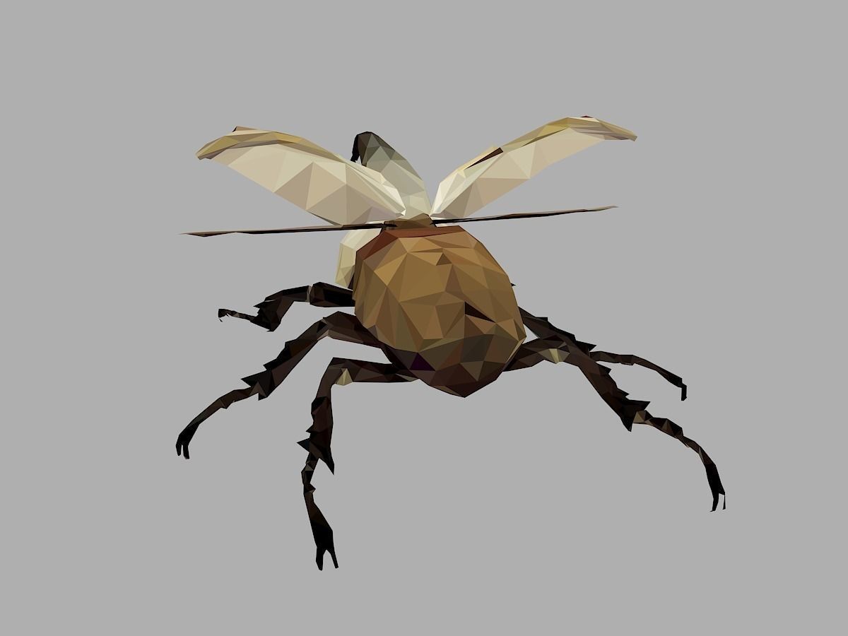Rhinoceros Bark Beetle Low Polygon Art Insect Low-poly 3D model_18