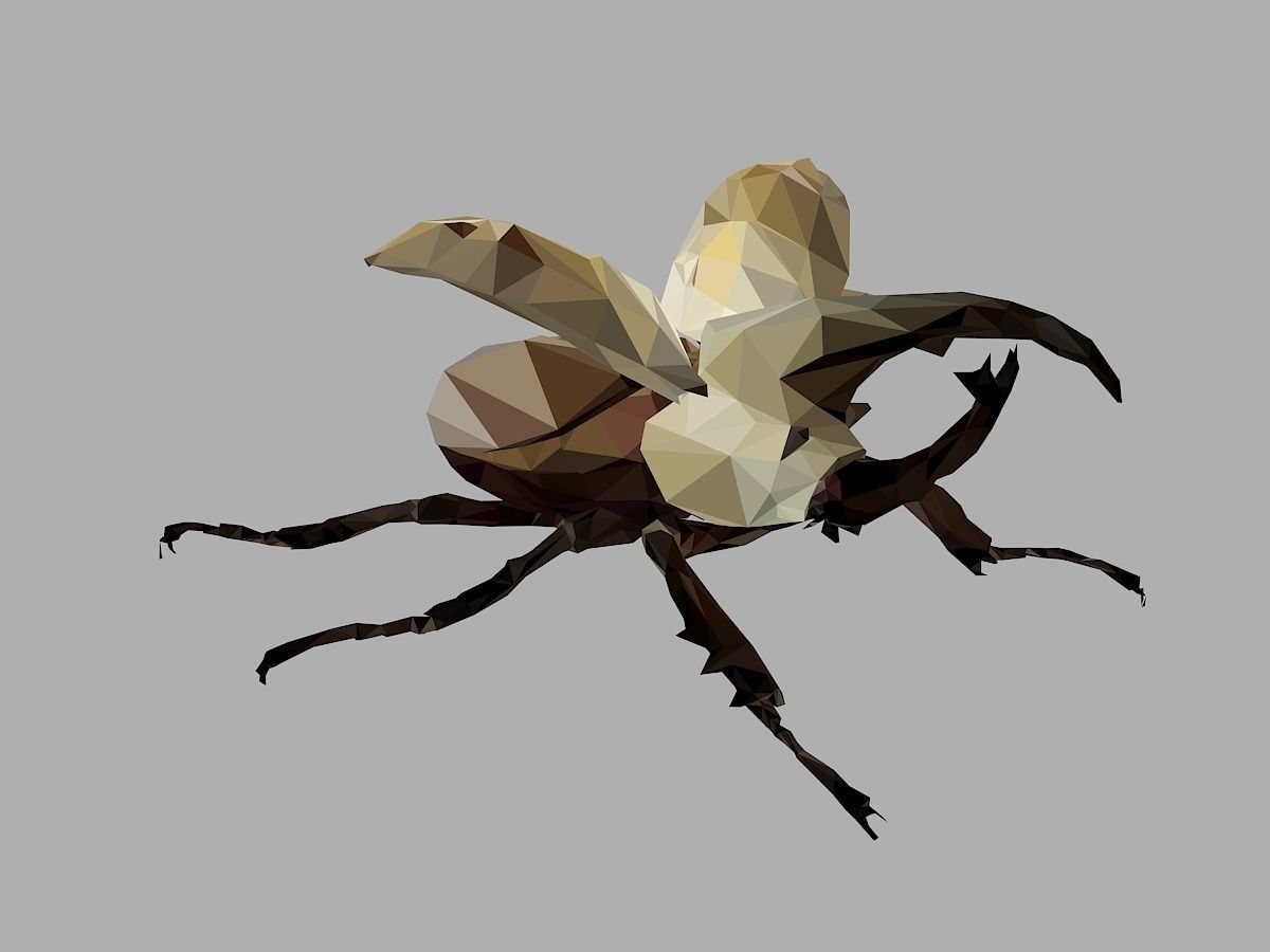 Rhinoceros Bark Beetle Low Polygon Art Insect Low-poly 3D model_29
