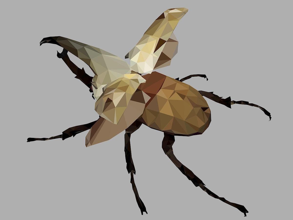 Rhinoceros Bark Beetle Low Polygon Art Insect Low-poly 3D model_0