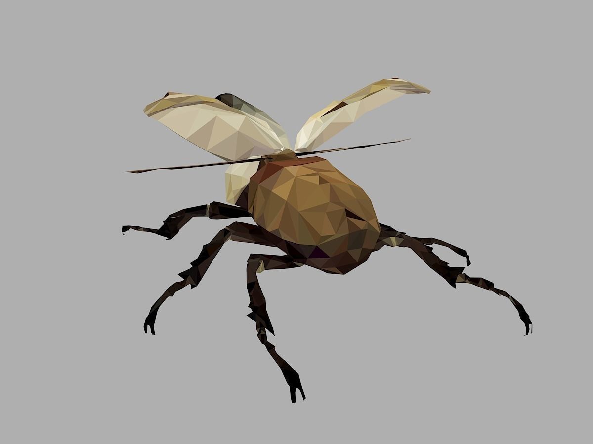 Rhinoceros Bark Beetle Low Polygon Art Insect Low-poly 3D model_17