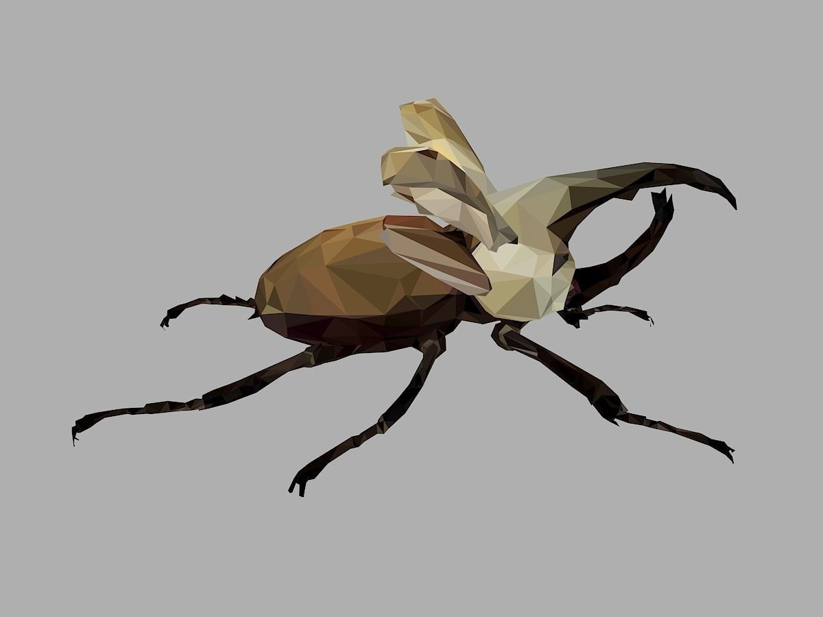 Rhinoceros Bark Beetle Low Polygon Art Insect Low-poly 3D model_25