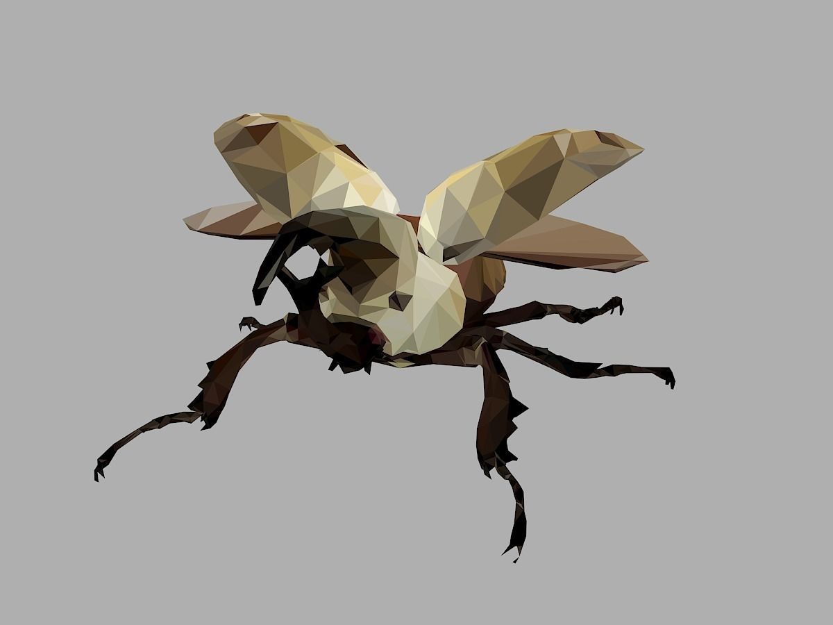 Rhinoceros Bark Beetle Low Polygon Art Insect Low-poly 3D model_5