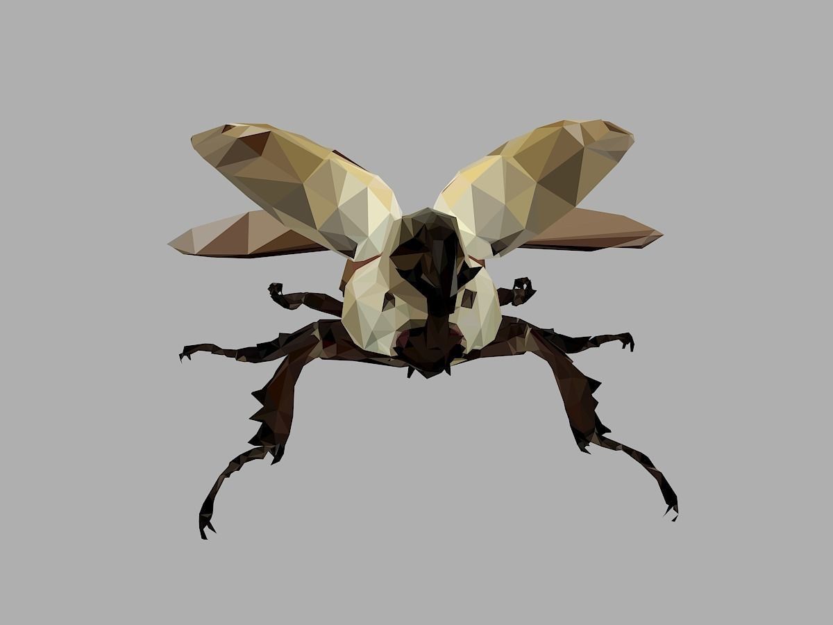 Rhinoceros Bark Beetle Low Polygon Art Insect Low-poly 3D model_6