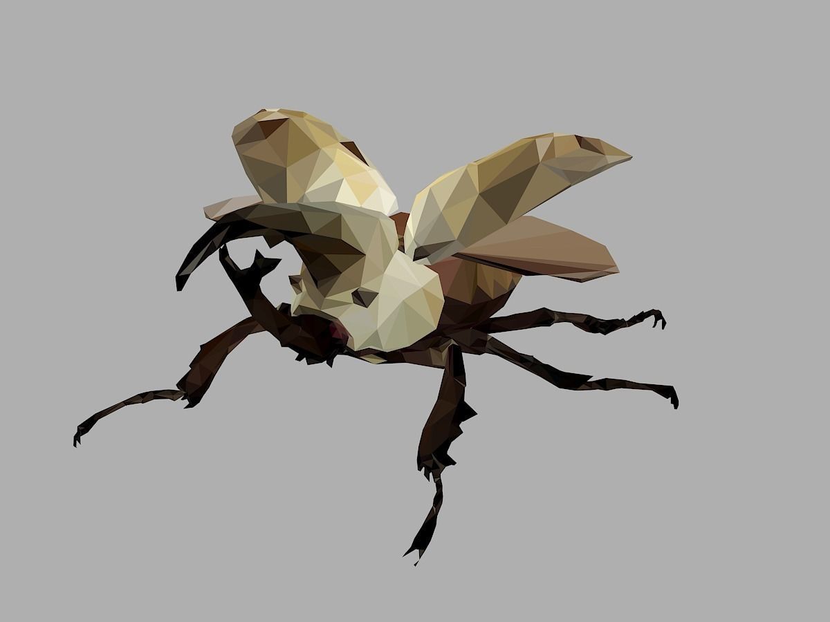 Rhinoceros Bark Beetle Low Polygon Art Insect Low-poly 3D model_4