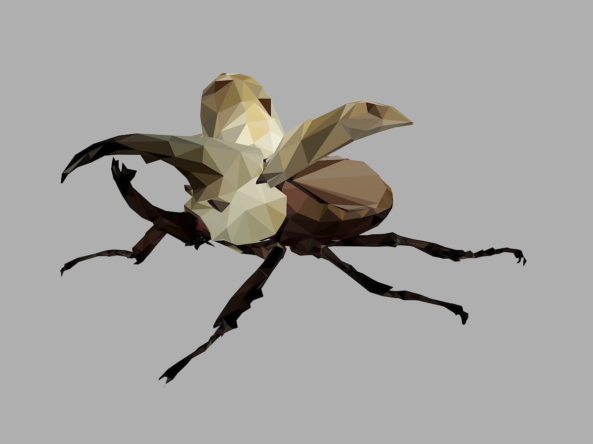 Rhinoceros Bark Beetle Low Polygon Art Insect Low-poly 3D model_7
