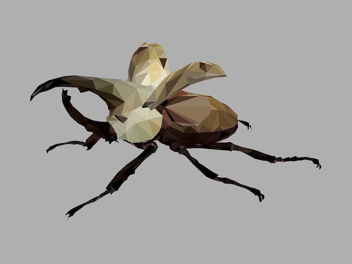 Rhinoceros Bark Beetle Low Polygon Art Insect Low-poly 3D model_11