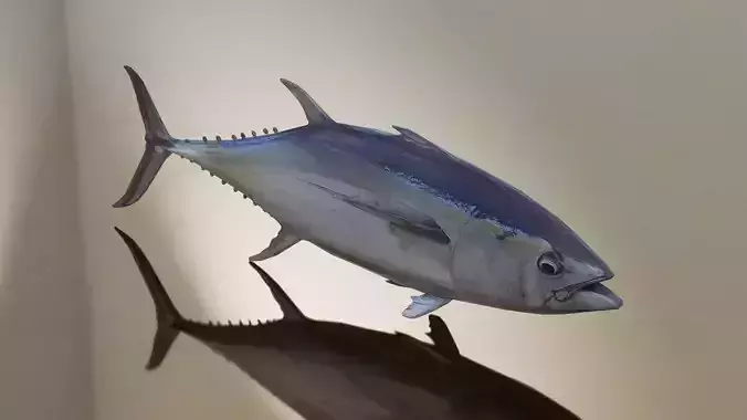 Tuna Fish