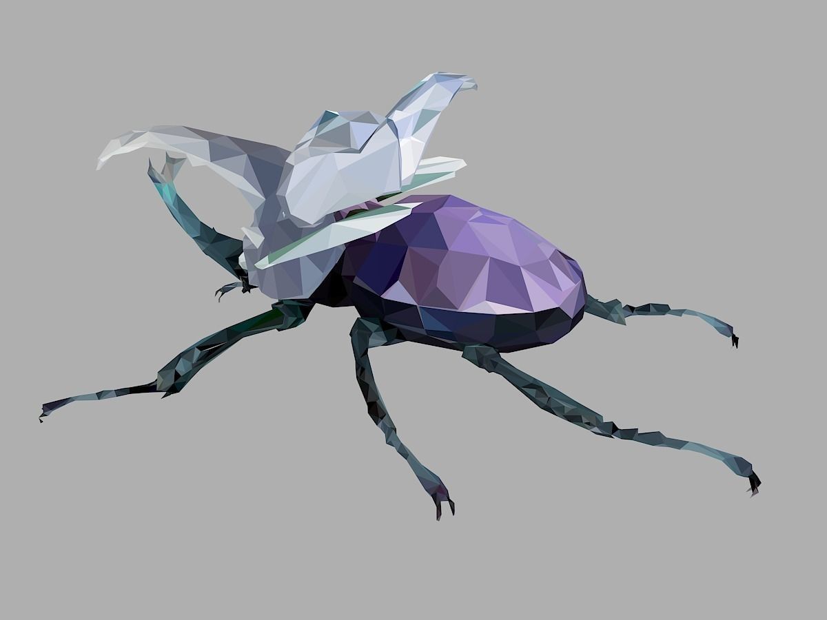 Firefly Bark Beetle Low Polygon Art Insect Low-poly 3D model_14