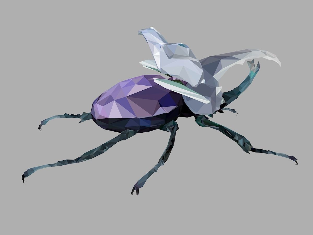 Firefly Bark Beetle Low Polygon Art Insect Low-poly 3D model_23
