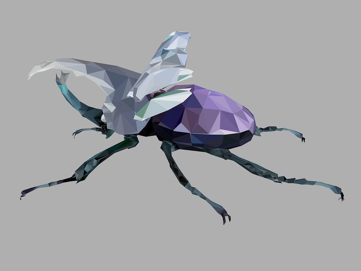 Firefly Bark Beetle Low Polygon Art Insect Low-poly 3D model_12
