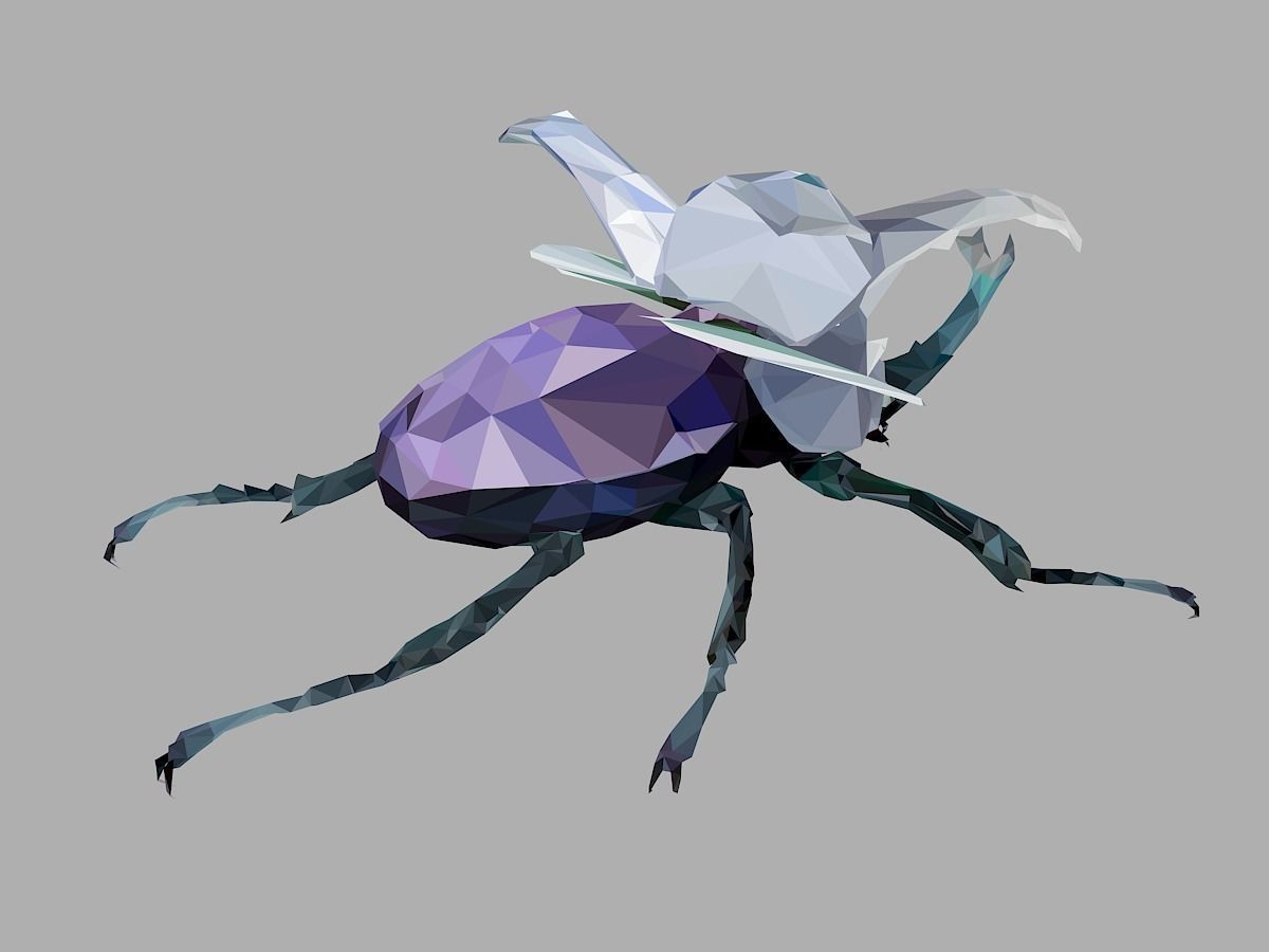 Firefly Bark Beetle Low Polygon Art Insect Low-poly 3D model_24