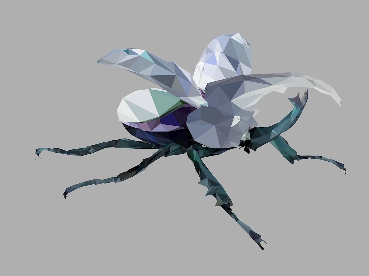 Firefly Bark Beetle Low Polygon Art Insect Low-poly 3D model_30