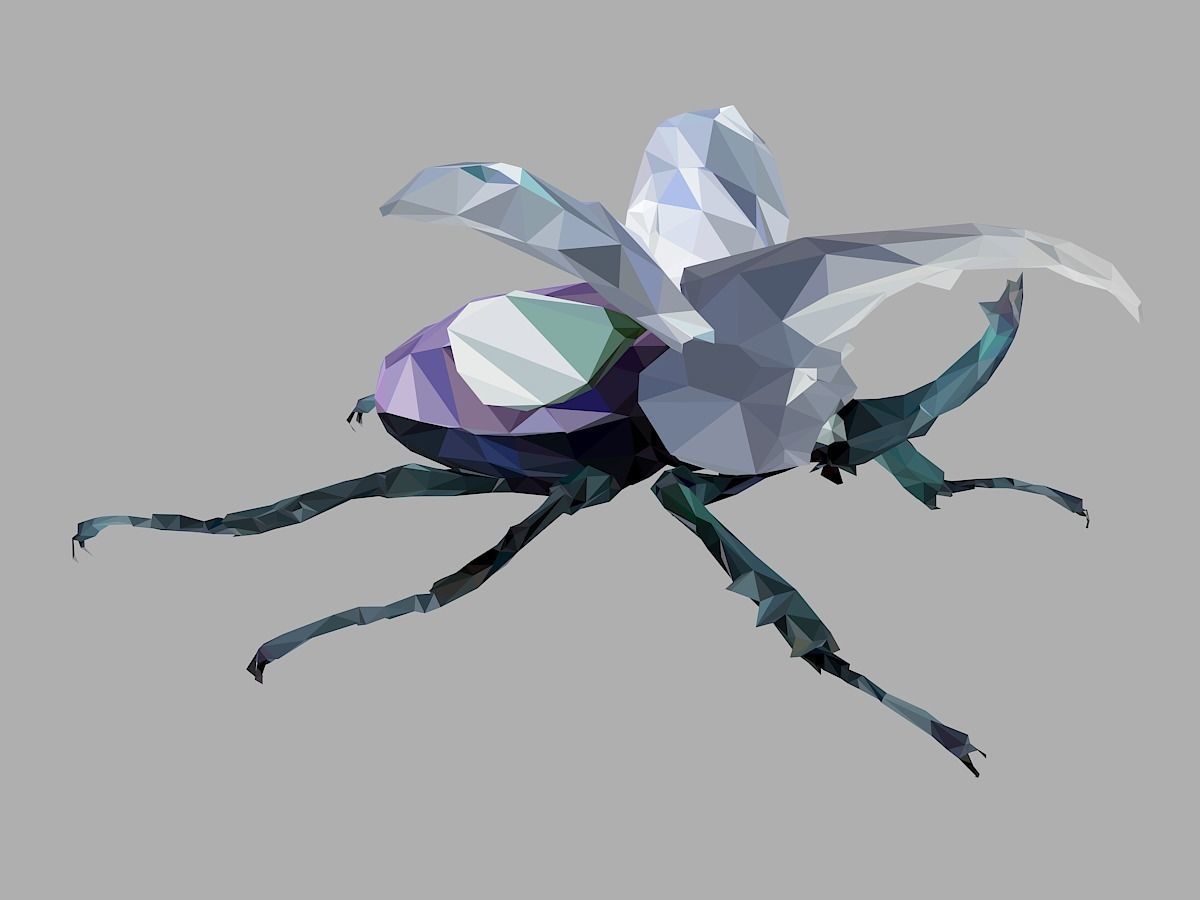 Firefly Bark Beetle Low Polygon Art Insect Low-poly 3D model_28
