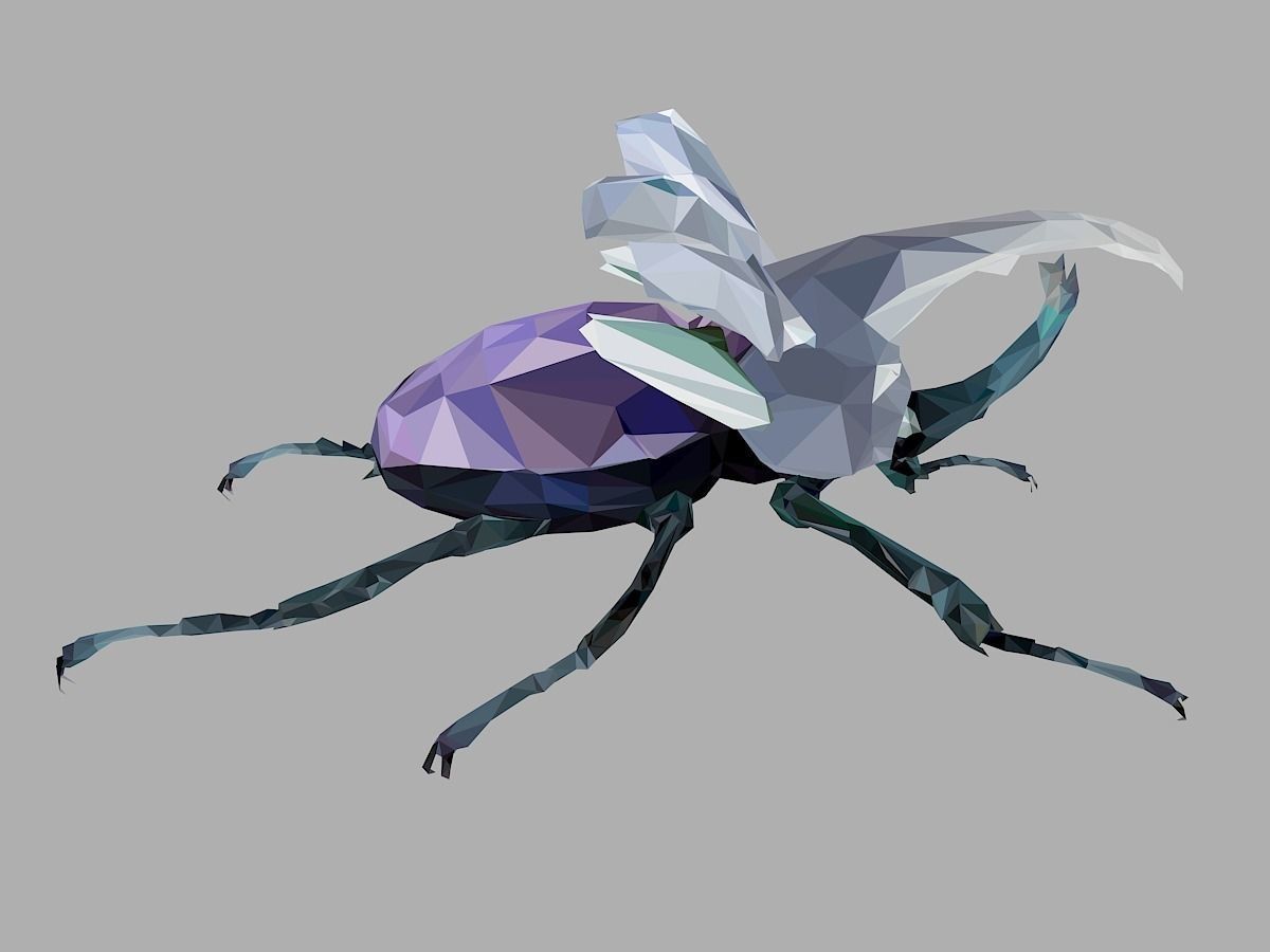 Firefly Bark Beetle Low Polygon Art Insect Low-poly 3D model_26