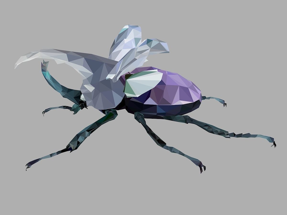 Firefly Bark Beetle Low Polygon Art Insect Low-poly 3D model_10