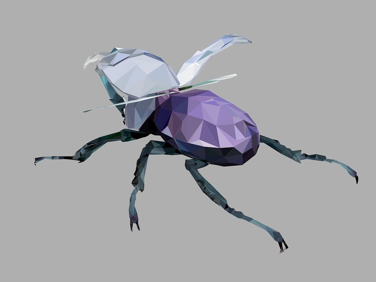 Firefly Bark Beetle Low Polygon Art Insect Low-poly 3D model_13