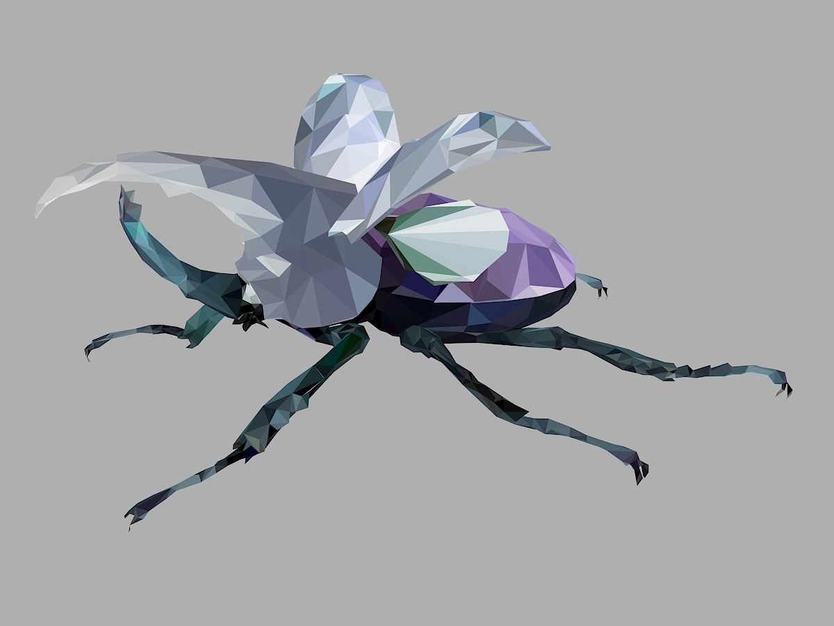 Firefly Bark Beetle Low Polygon Art Insect Low-poly 3D model_9