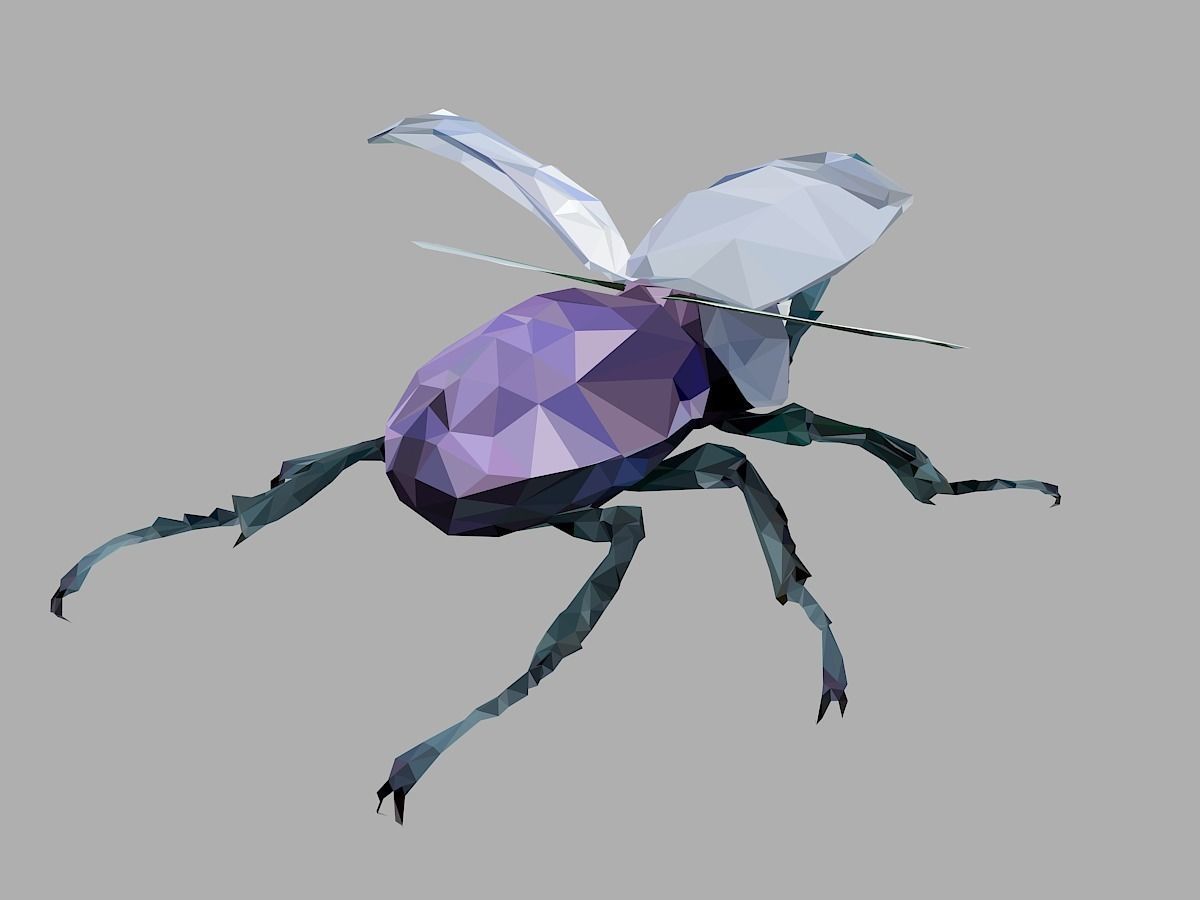 Firefly Bark Beetle Low Polygon Art Insect Low-poly 3D model_22