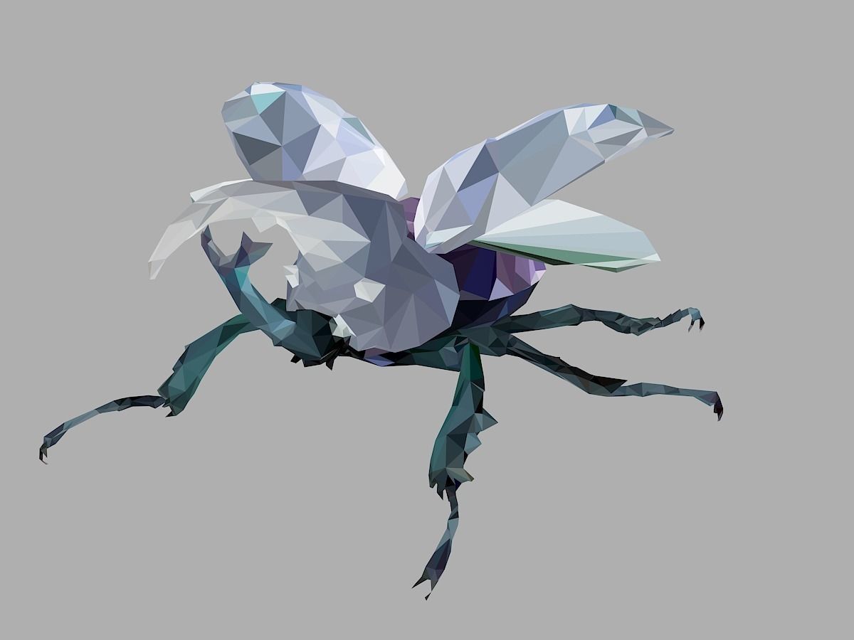 Firefly Bark Beetle Low Polygon Art Insect Low-poly 3D model_6