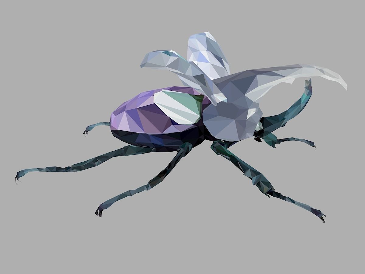 Firefly Bark Beetle Low Polygon Art Insect Low-poly 3D model_27