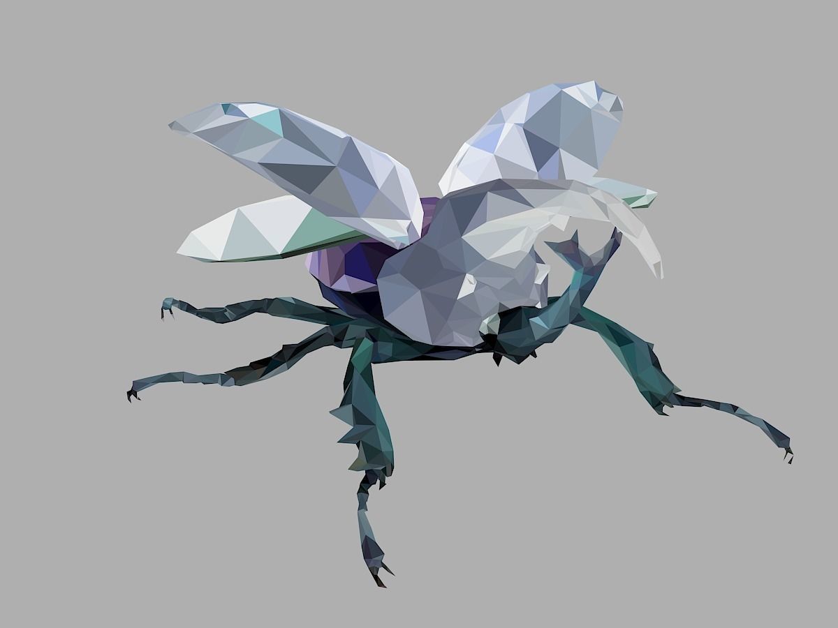 Firefly Bark Beetle Low Polygon Art Insect Low-poly 3D model_1