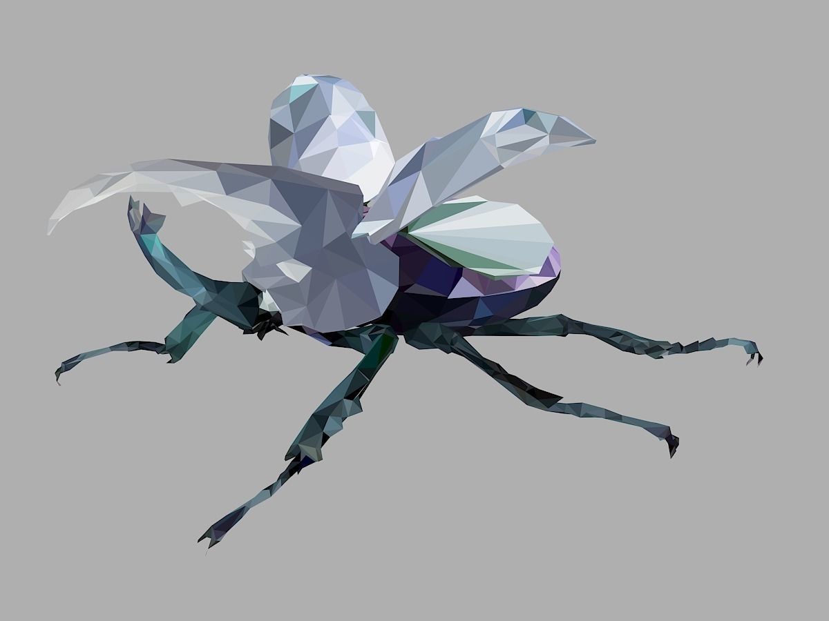 Firefly Bark Beetle Low Polygon Art Insect Low-poly 3D model_8