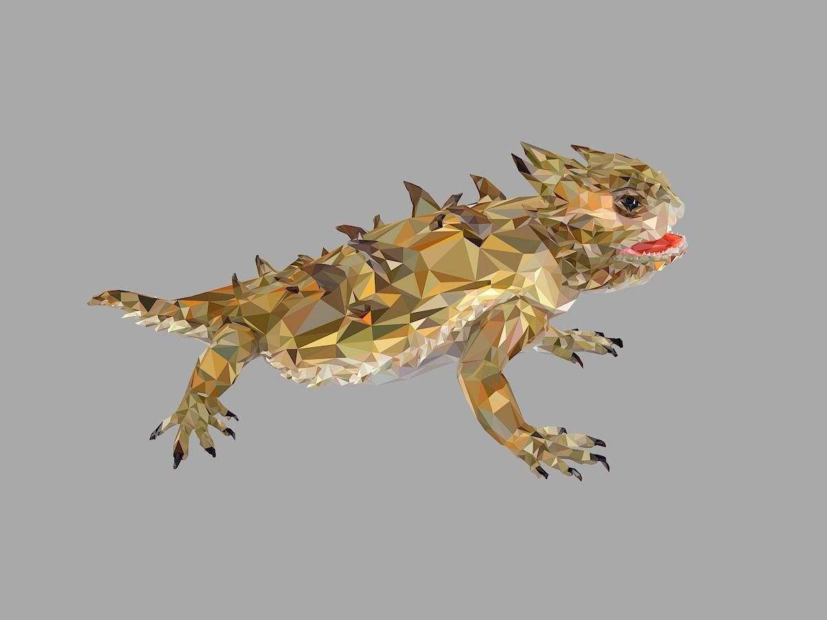 Lizard Low Polygon Art Reptile Animal Low-poly 3D model_27