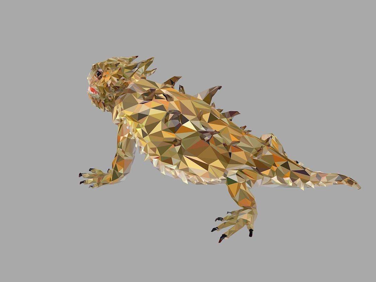 Lizard Low Polygon Art Reptile Animal Low-poly 3D model_13