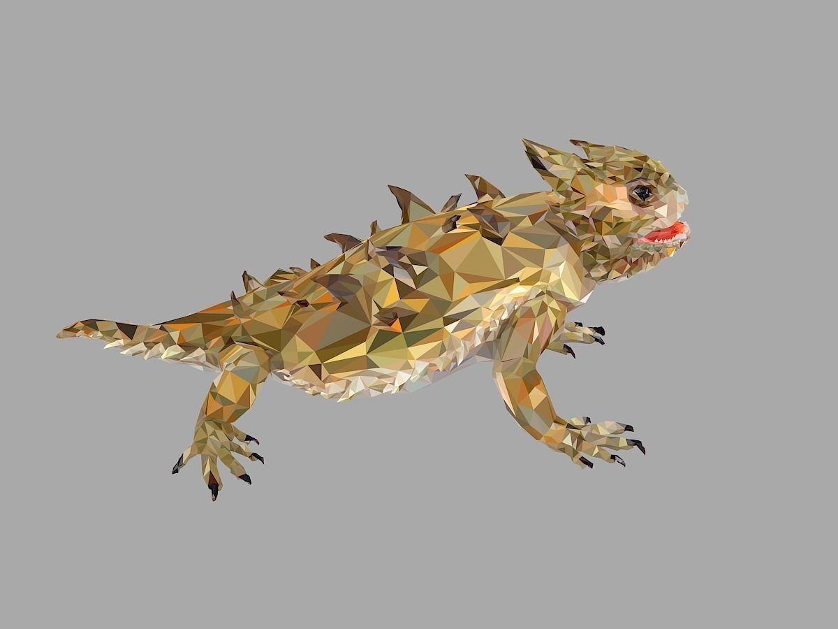 Lizard Low Polygon Art Reptile Animal Low-poly 3D model_30