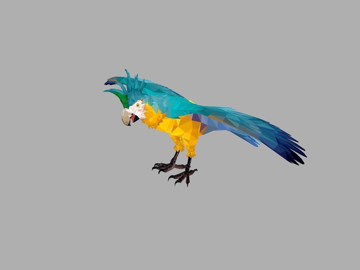 Blue Parrot Low Polygon Art Bird Animal Low-poly 3D model_7