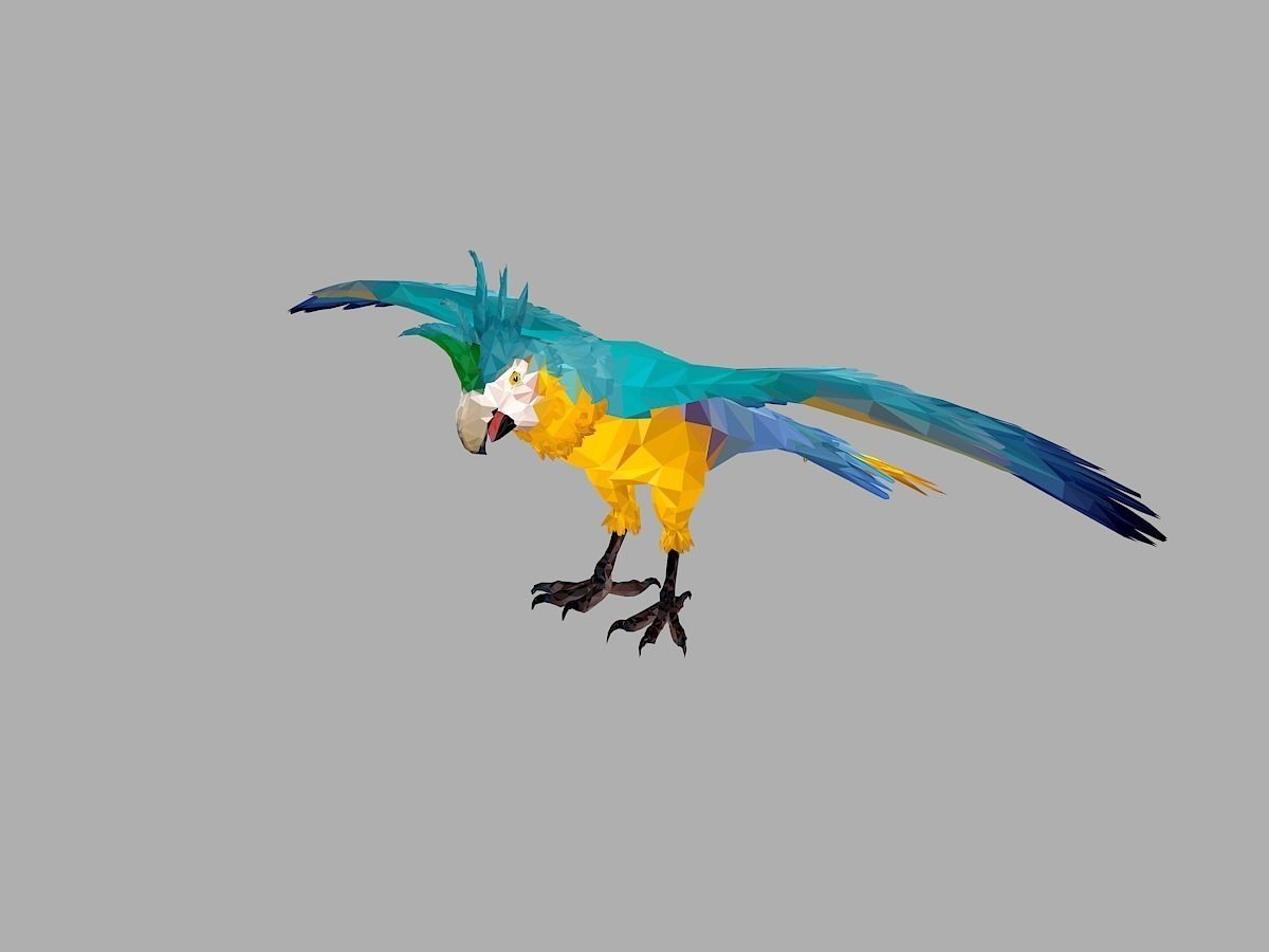 Blue Parrot Low Polygon Art Bird Animal Low-poly 3D model_12